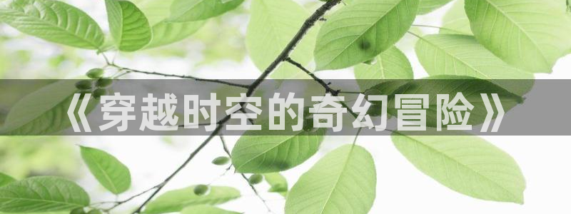动漫天堂官方正版下载：《穿越时空的奇幻冒险》