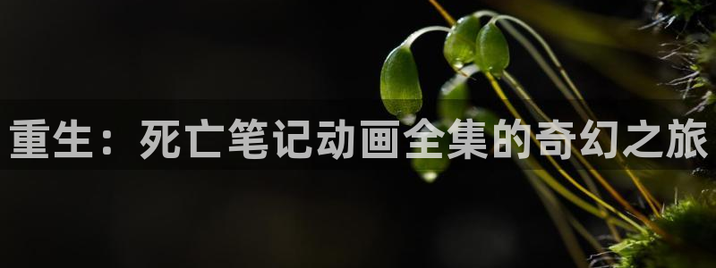 91天堂动漫：重生：死亡笔记动画全集的奇幻之旅